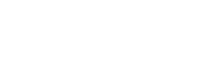 Skyward Consult